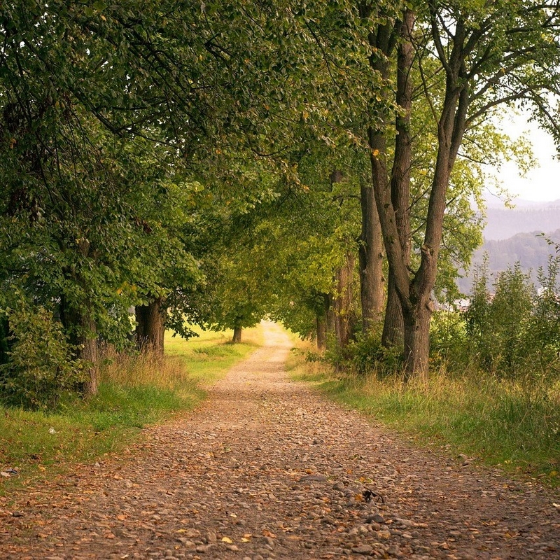 septembre-nature