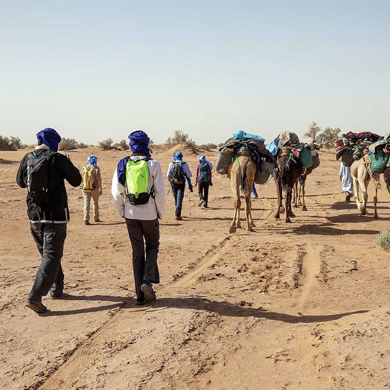 trek-au-maroc-800x800.jpg
