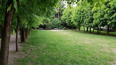 PELERINAGE DIJON 2019