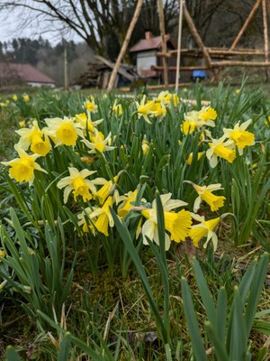 WhatsApp Image 2025 03 20 at 21.56.58 (3)