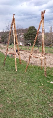 WhatsApp Image 2025 03 22 at 19.12.07