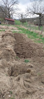 WhatsApp Image 2025 03 22 at 19.15.45