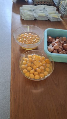 WhatsApp Image 2025 05 03 at 15.26.09 (4)