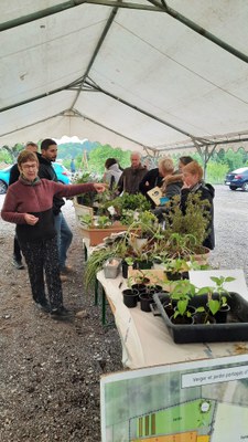 WhatsApp Image 2025 05 04 at 21.49.39 (4)