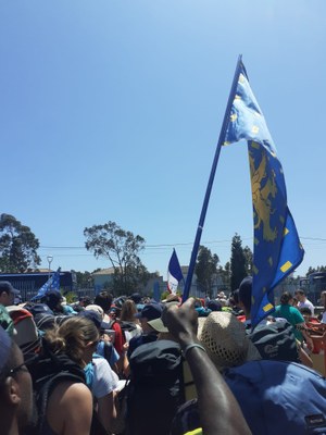 20230726-DHDF IMG WA0002