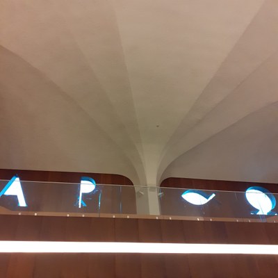 20230726-DHDF IMG WA0008