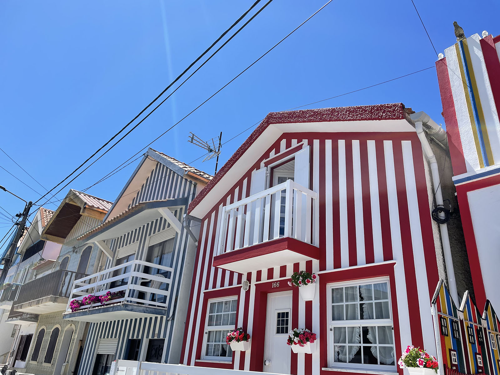 20230729-DHDF image00009.jpg