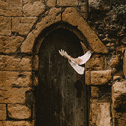 l'esprit 250x250 L’Esprit, ce souffle invisible mais perceptible (cathopic)