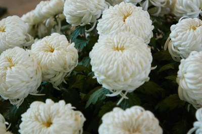 Confirmation 2019   selection 002