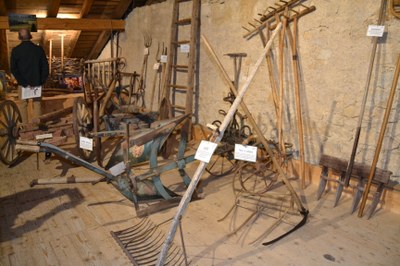 DSC 0400