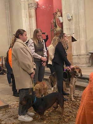 20241116 183632826 iOS