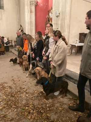 20241116 184836931 iOS