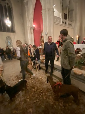 20241116 184845906 iOS