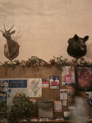 20241116 185427300 iOS