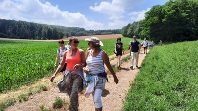 347566046 641286764701085 1631288528801772644 n