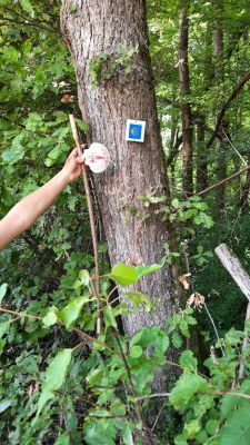 347604313 641286678034427 8603725611002032041 n