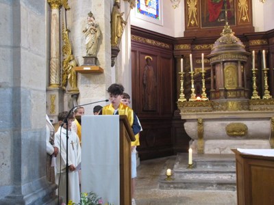 IMG 3090
