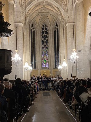 405133683 310663021849086 4950876937412380451 n