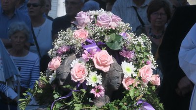 Cloche   Gray la Ville  10   4.9.2022