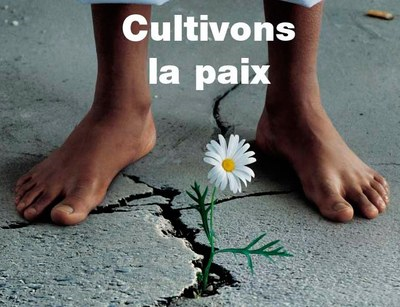 Cultivons la paix.png