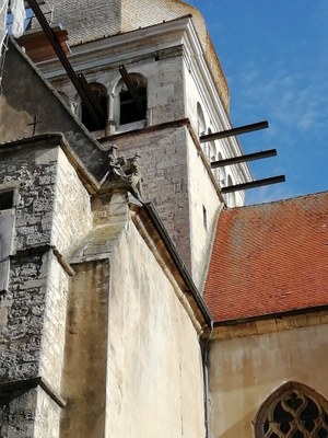 IMG 20200827 093138 BURST001 COVER