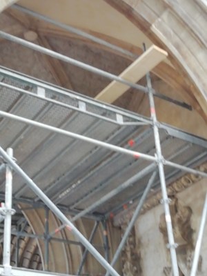 IMG 20201004 093245 BURST001 COVER