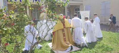 Procession 1