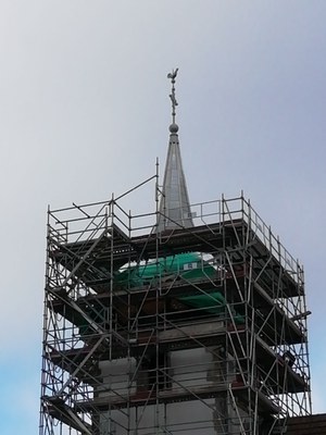 IMG 20211106 150404 BURST001 COVER