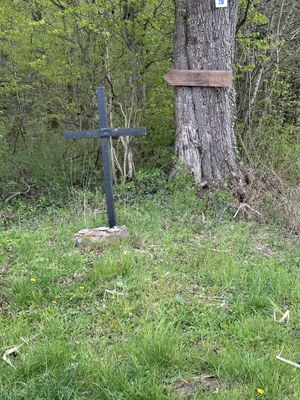 Acey - 1.4.2026.jpeg