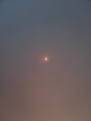 IMG 20260915 133434