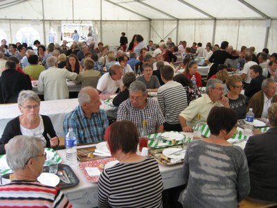 IMG 0015 1024x768