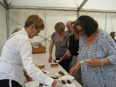 IMG 0017 1024x768