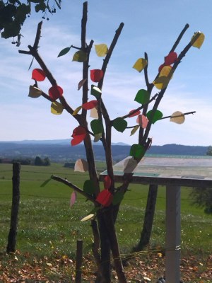 WhatsApp Image 2025 10 17 à 09.59.33 8915997a