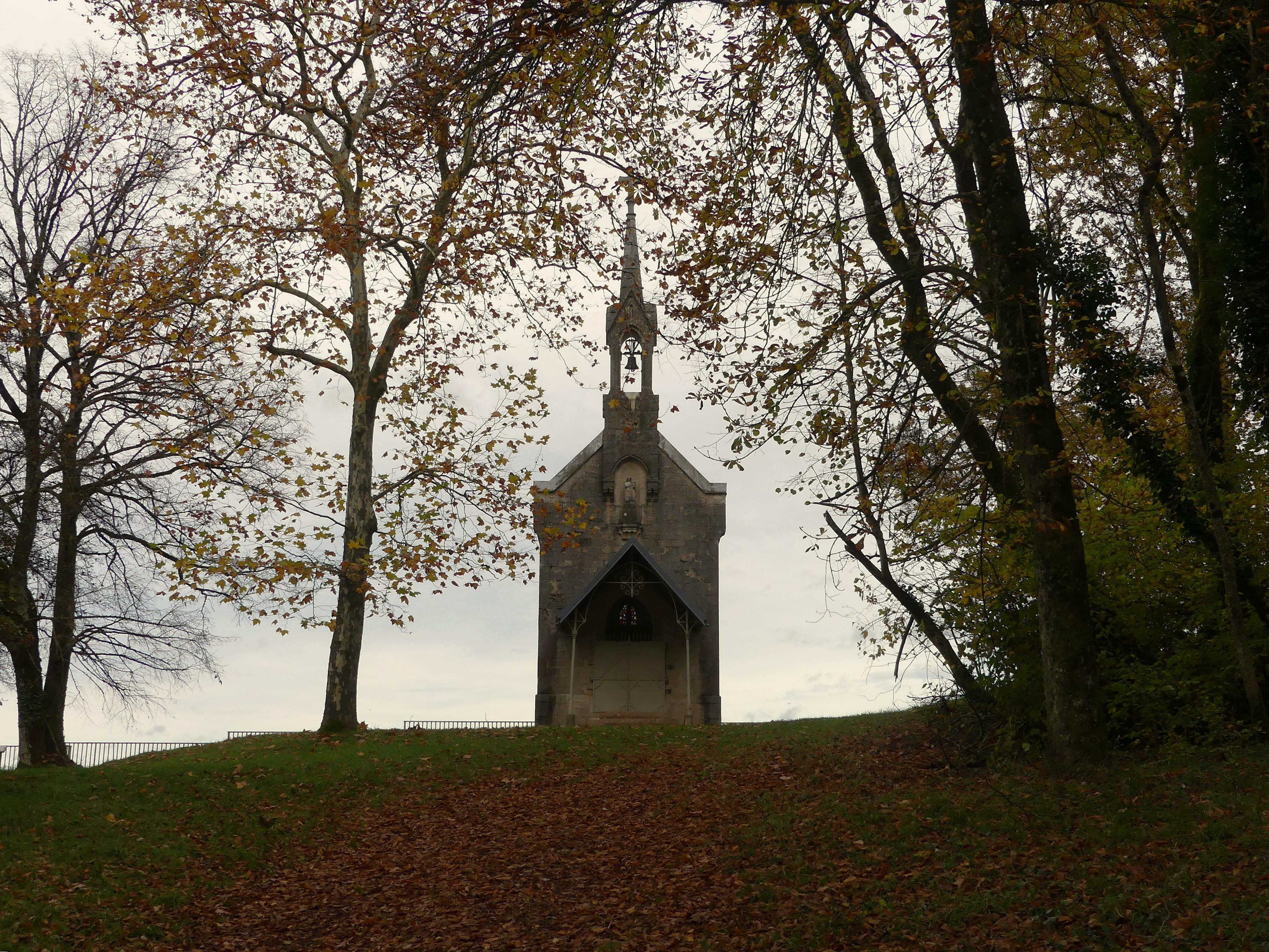Concours photo - adulte - n°1
