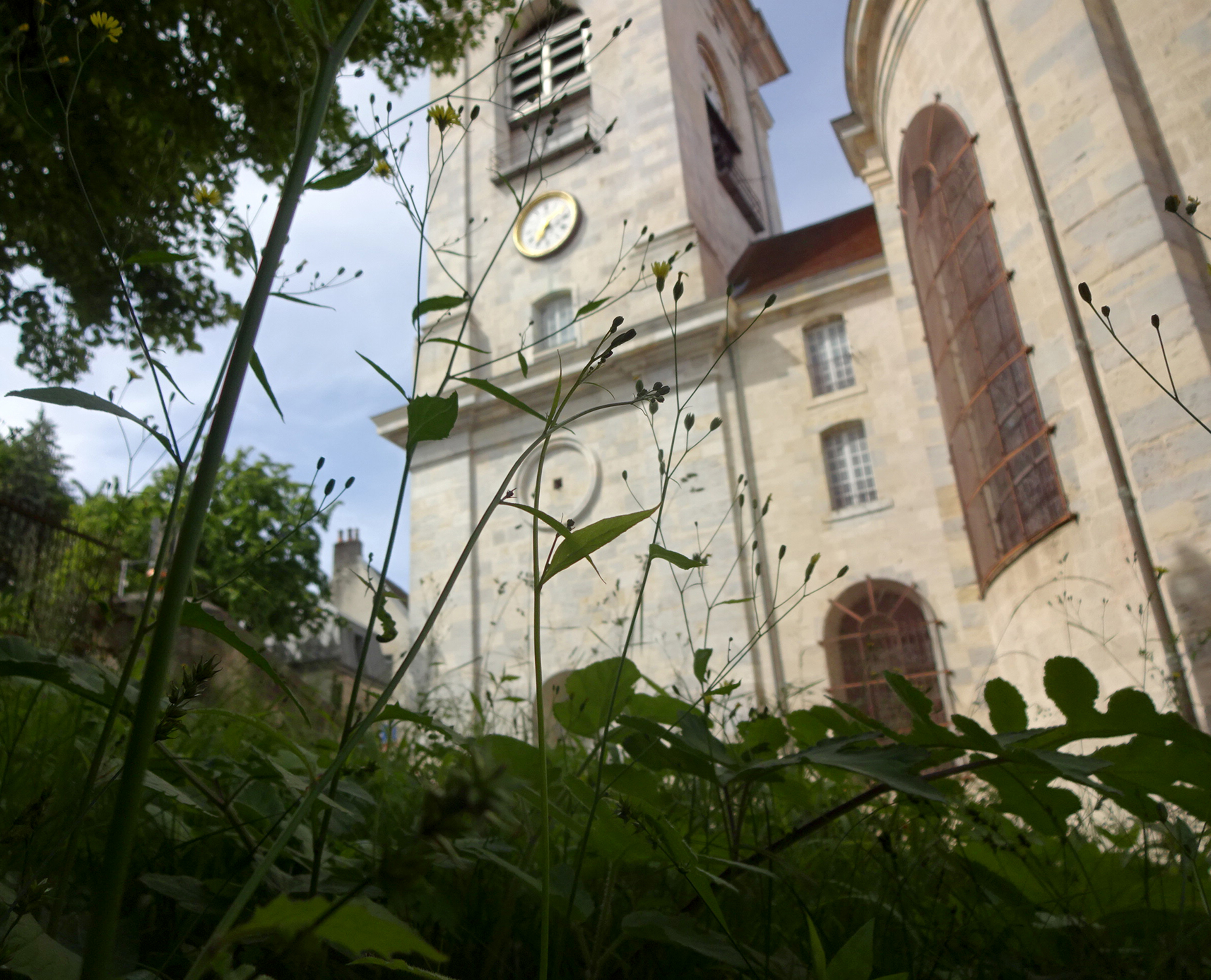 Concours photo - jeunes - n°2