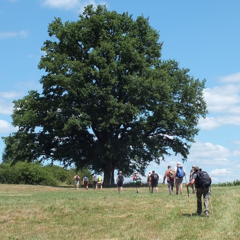 11eme-pelerinage-des-hommes-des-epoux-et-des-peres-vers-ronchamp