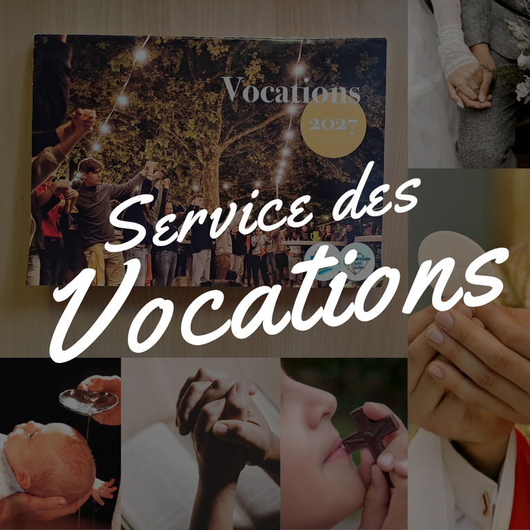 actualites-du-sdv